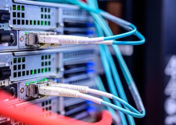 Detailed shot of Ethernet cables connected to server ports highlighting technology infrastructure.